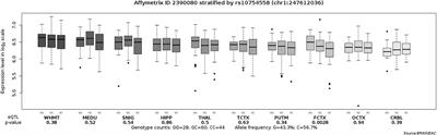 NLRP3 Influences Cognitive Function in Schizophrenia in Han Chinese